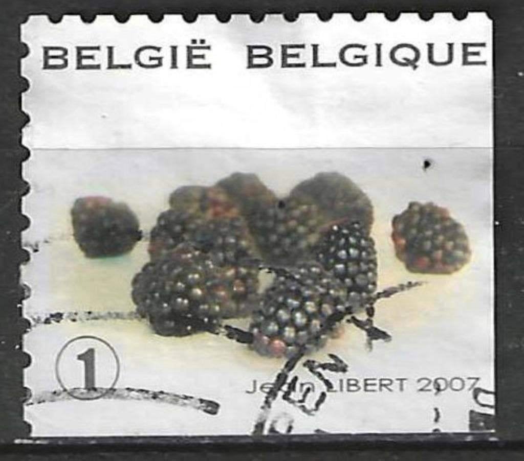 Belgie 2007 - Yvert 3681 /OBP 3694 - Braambes (ST), Verzenden, Gestempeld, Gestempeld