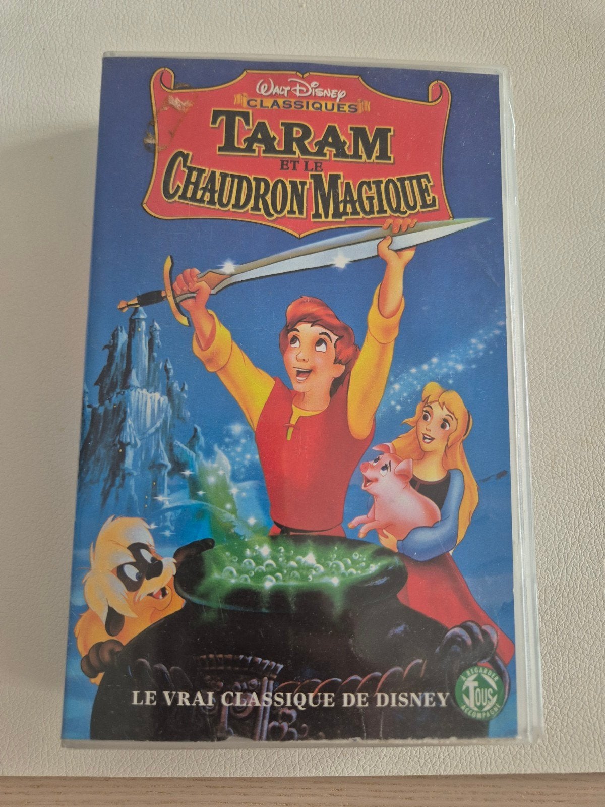 taram et chaudron magique, Enlèvement ou Envoi, Tous les âges, Animation, Utilisé