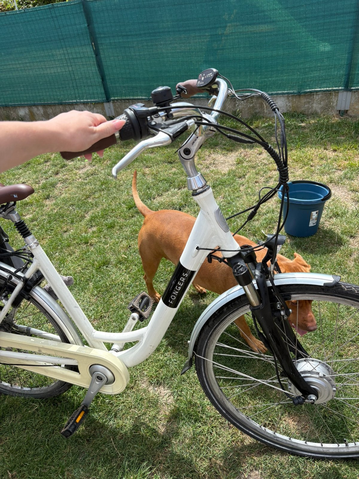 Elektrische fiets, Ophalen, Zo goed als nieuw