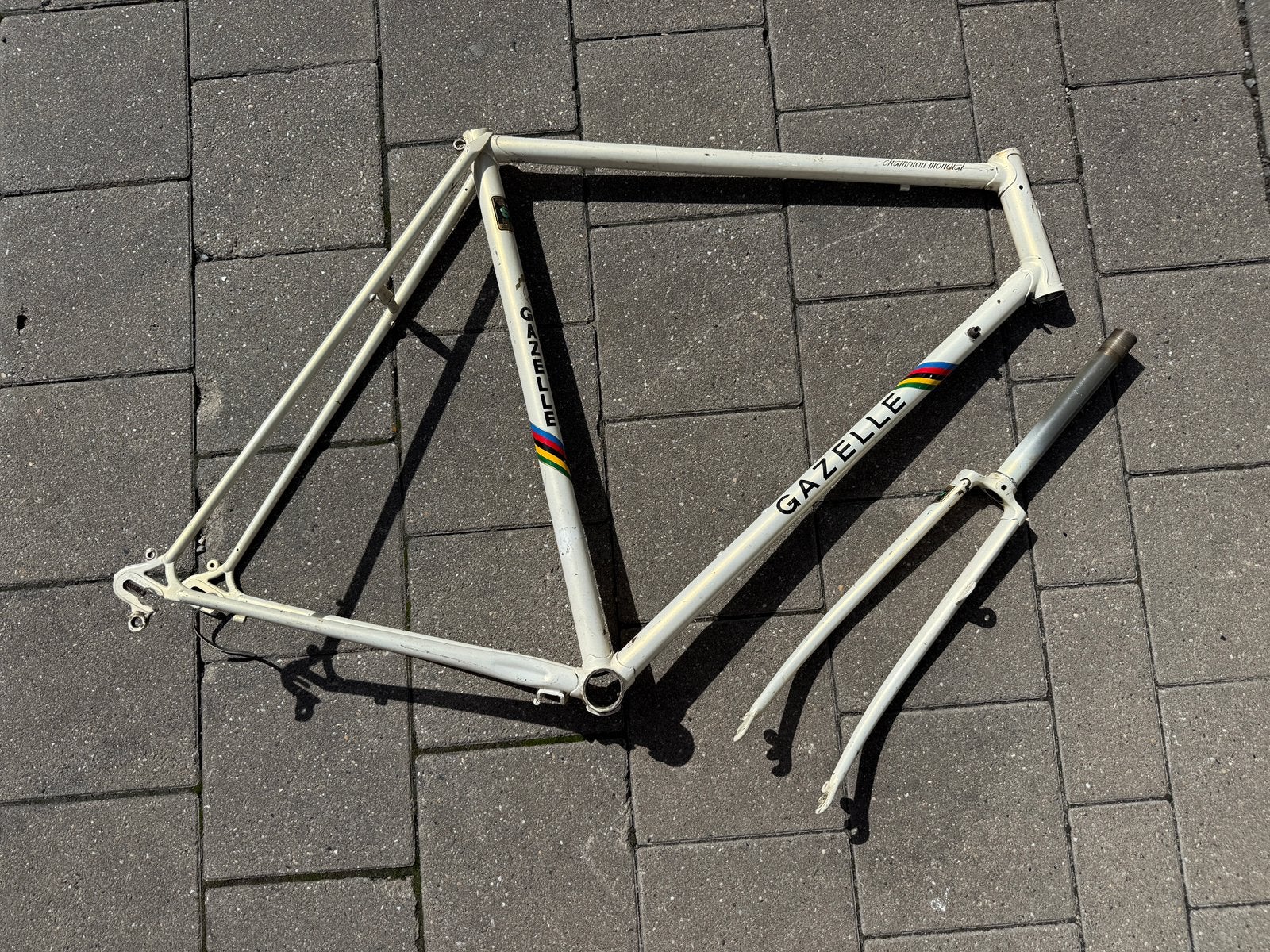 Gazelle Frame maat 54, Fietsen en Brommers, Ophalen, Gebruikt, Frame