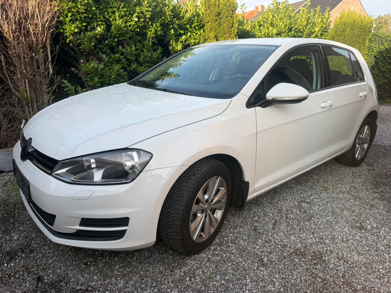 Golf 7, Achat, Entreprise, Diesel, Golf