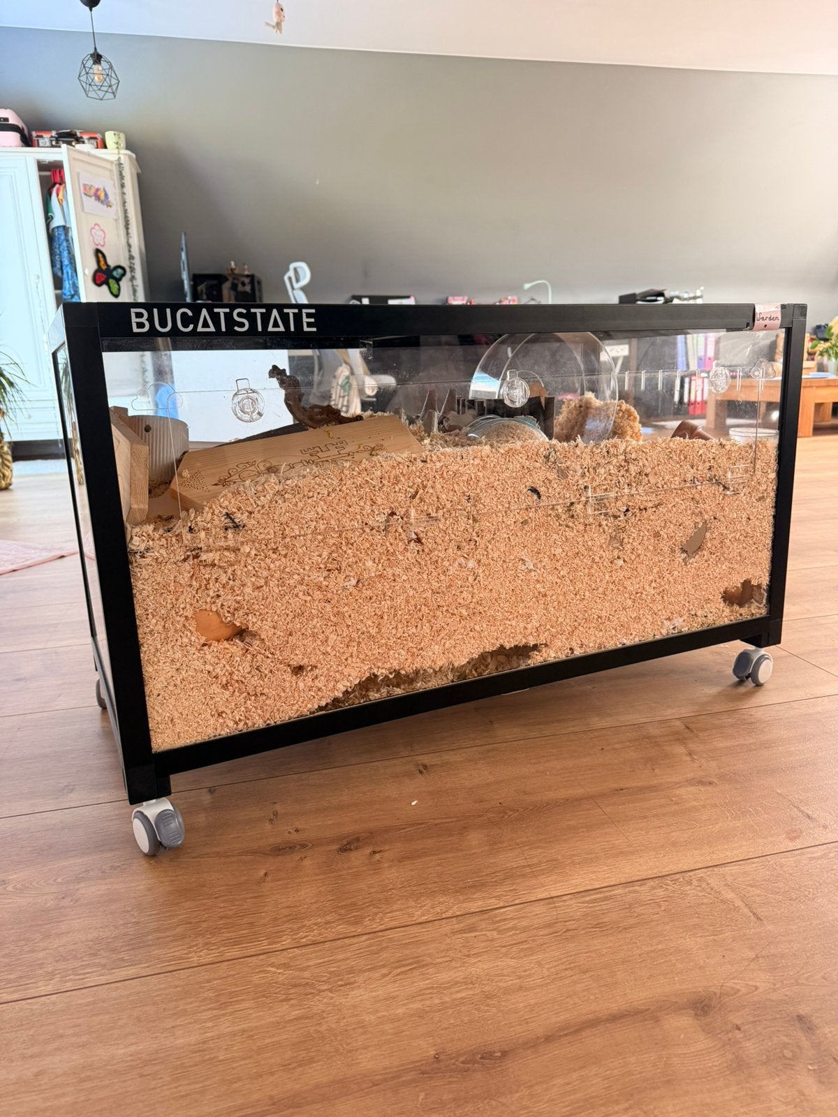 Hamster met kooi en alle toebehoren, Enlèvement, Comme neuf, Cage, Hamster