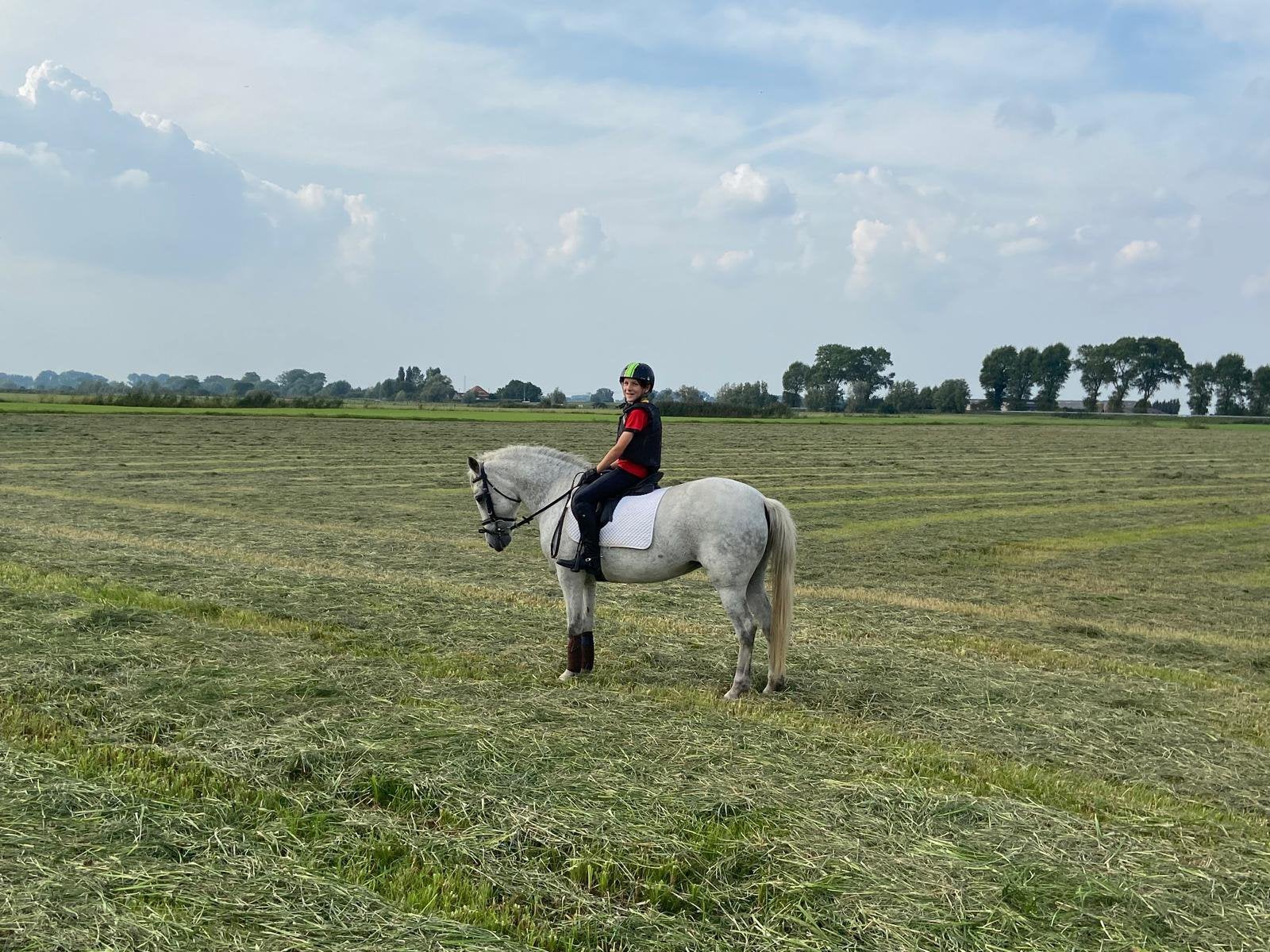 Superbrave springpony (c-pony) zoekt een fijne thuis, Dieren en Toebehoren, Pony's, Merrie, Springpony, 11 jaar of ouder, L