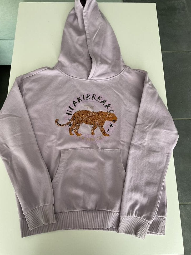 Lila hoodie ‘Only’ (maat 146/152), Enfants & Bébés, Vêtements enfant | Taille 146, Enlèvement ou Envoi, Comme neuf, Fille, Pull ou Veste