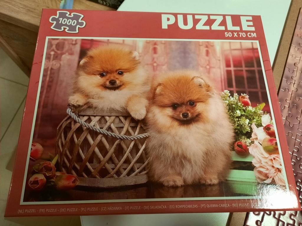 Puzzel 1000 stukjes, Ophalen of Verzenden