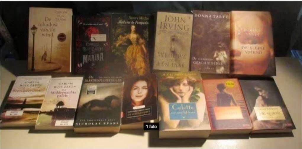 13 bons romans hollandais, Livres, Romans, Comme neuf, Enlèvement ou Envoi
