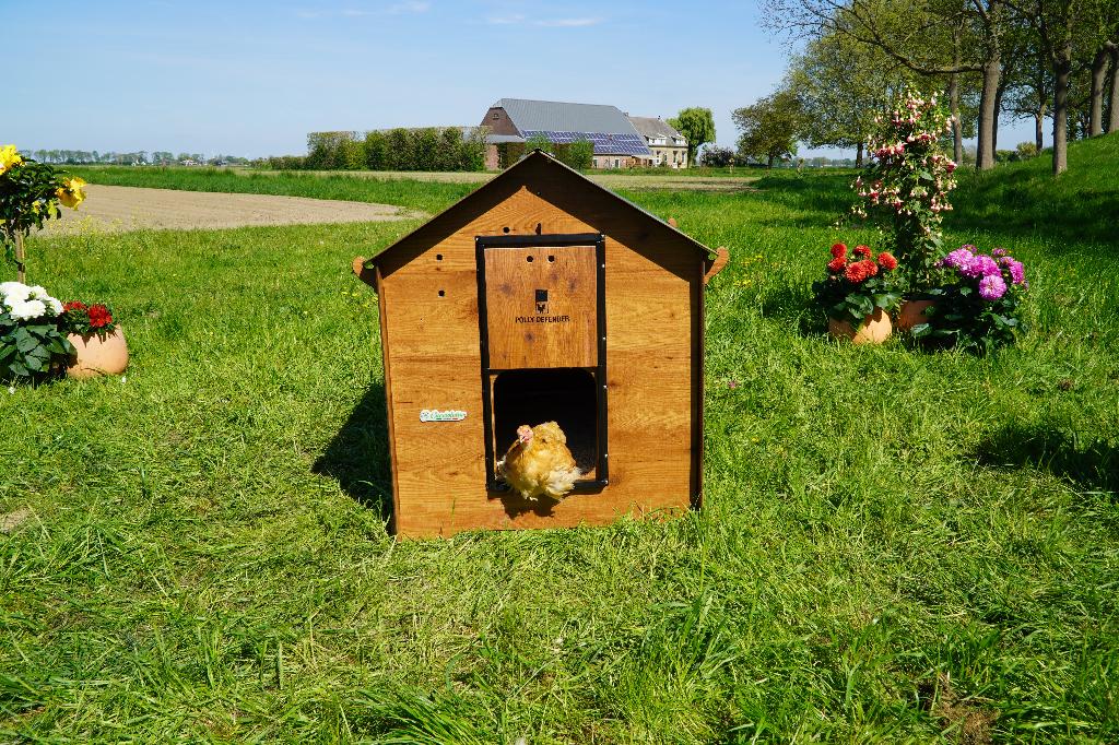 Trespa Kippenhok Cucciolotta Classic XL | Grondmodel, Animaux & Accessoires, Enlèvement ou Envoi, Neuf, Poulailler