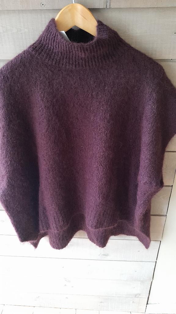 Trui Nieuw, Kleding | Dames, Truien en Vesten, Ophalen of Verzenden, Nieuw, Maat 42/44 (L)