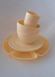 Plastiek picknickset, Hobby & Loisirs créatifs, Enlèvement