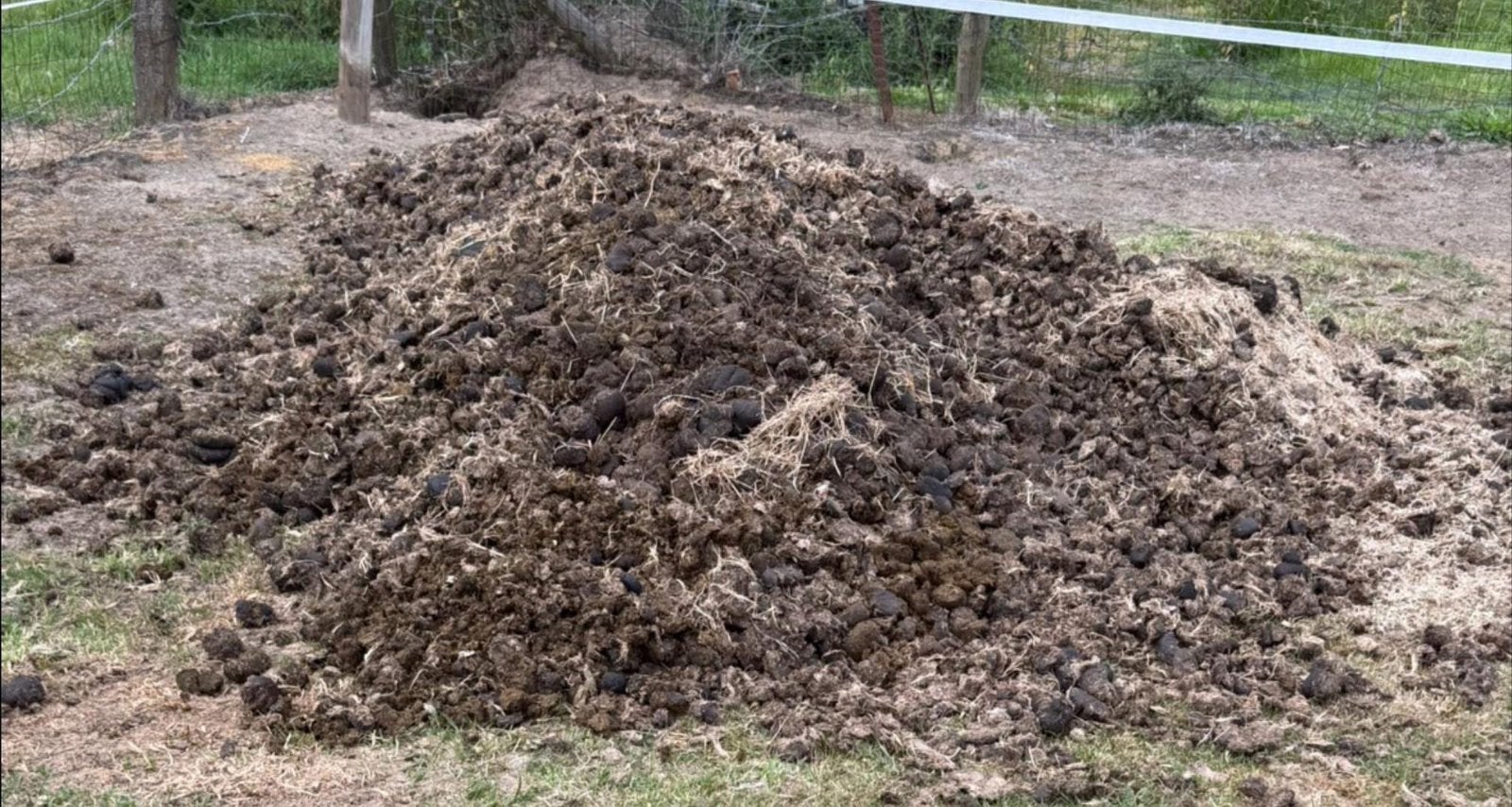 GRATIS zuivere paardenmest op te halen, Ophalen