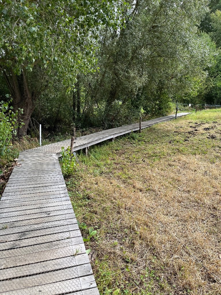 Wandelmaatje (dame), Contacten en Berichten