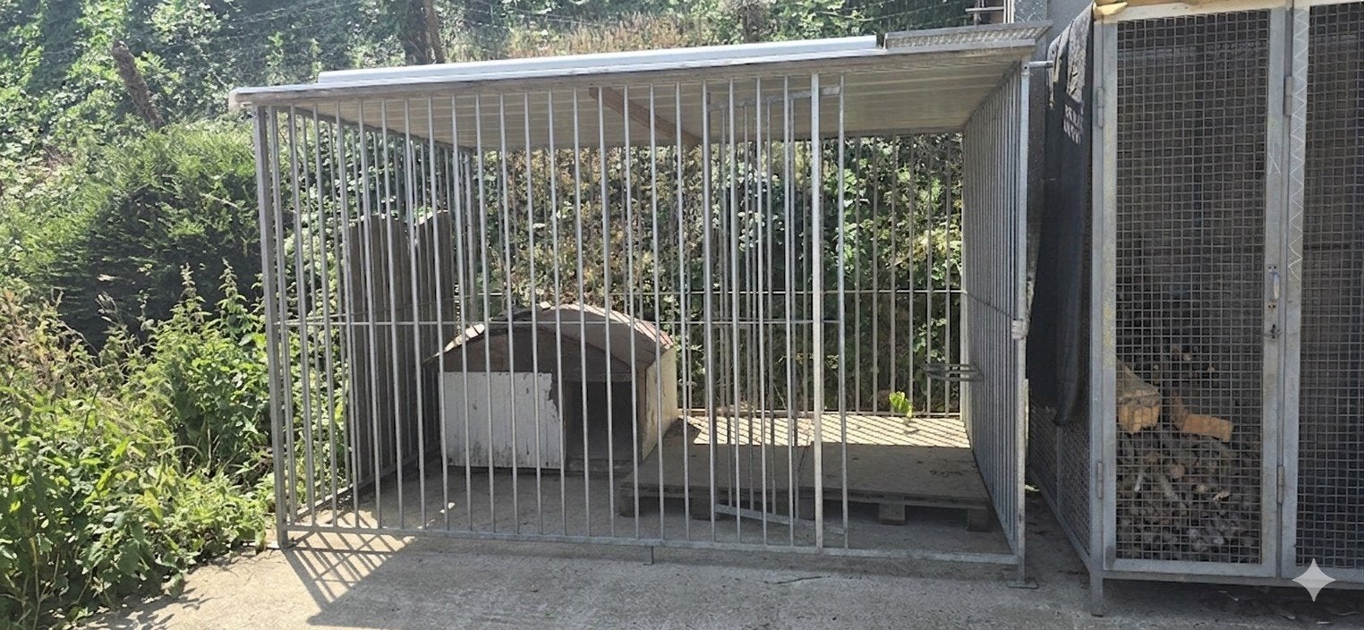 Chenil pour chien, Animaux & Accessoires, Maisons pour chiens, Enlèvement