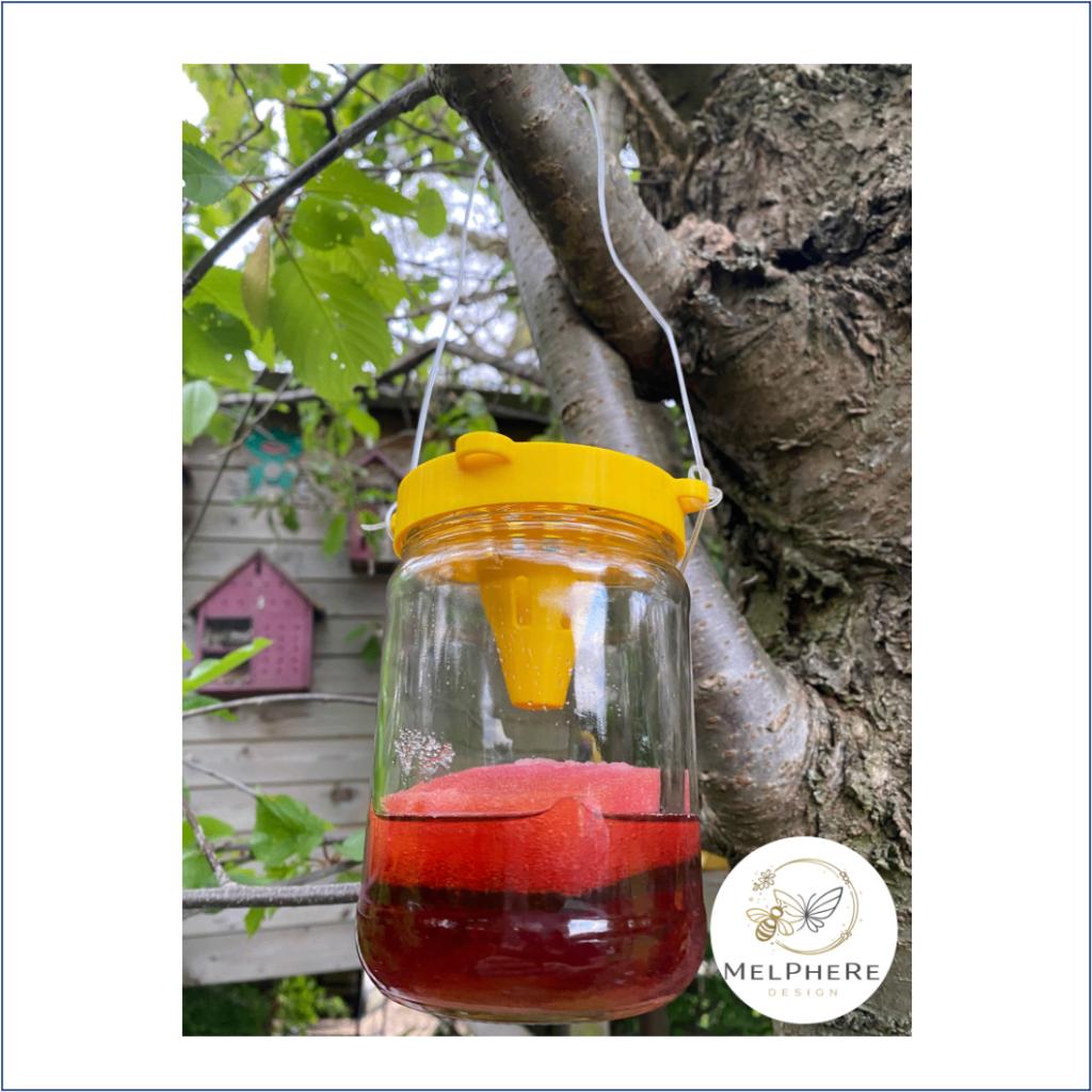 Piège à frelons asiatiques AVEC RECETTE ! Vespa Velutina, Abeilles