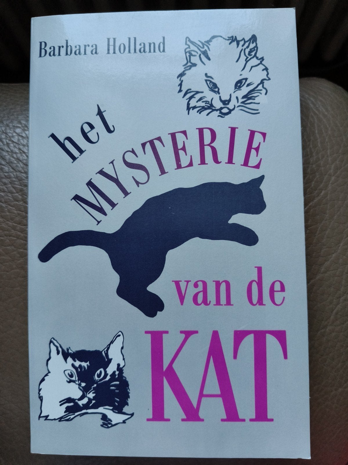 Barbara Holland - Het mysterie van de kat, Livres, Animaux & Animaux domestiques, Enlèvement ou Envoi, Chats