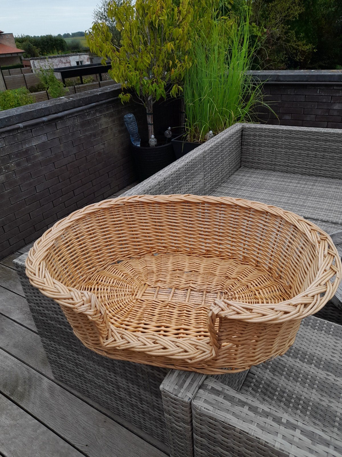 Mooie rieten hondenmand zoekt een tweede leven!, Ophalen, Zo goed als nieuw, Riet