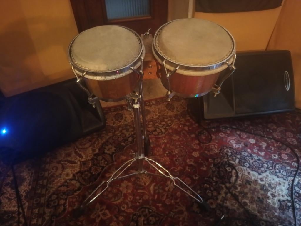 Bongo's, Musique & Instruments, Enlèvement