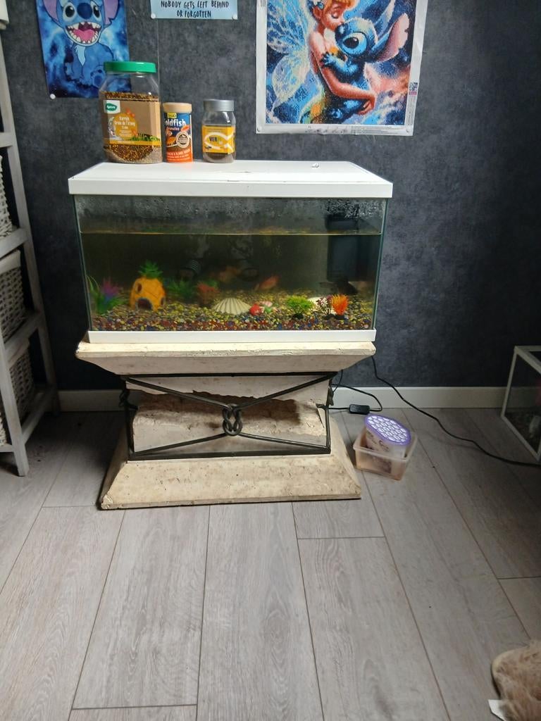 Aquarium met standaard, Ophalen, Decoratie