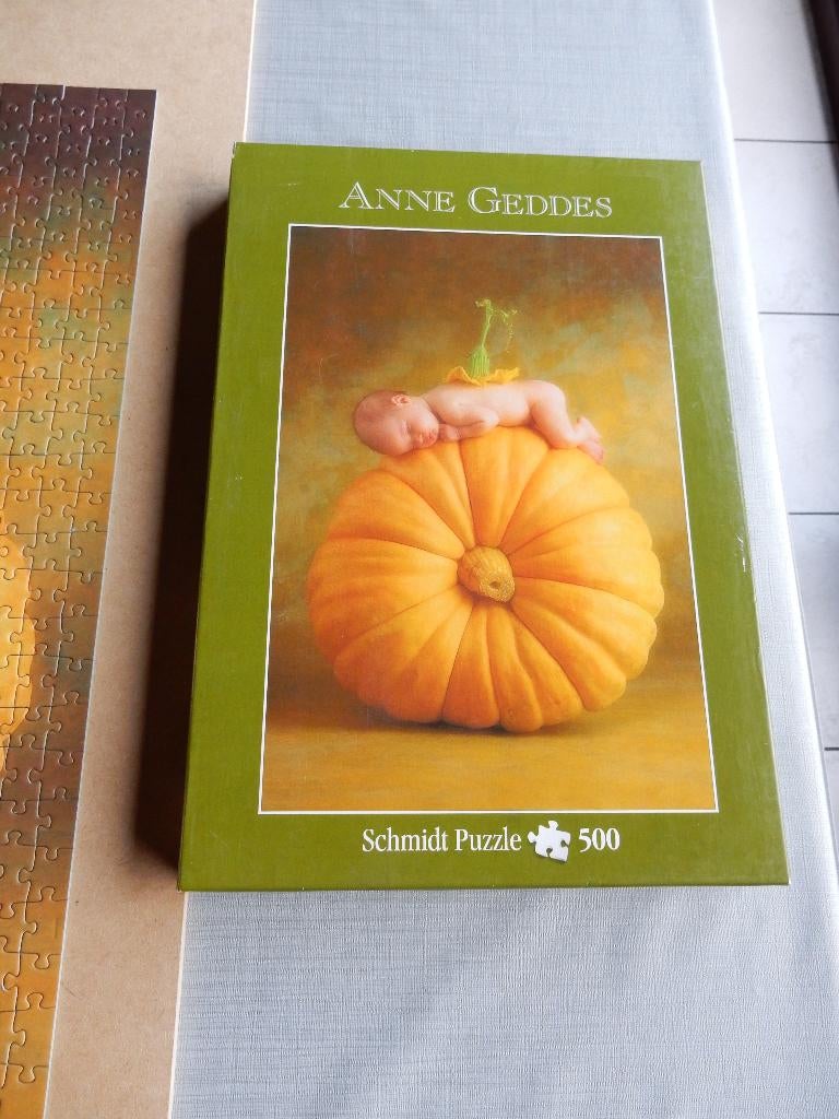 nr.593 - Puzzel: pompoen - 500 stukjes, Hobby en Vrije tijd, Denksport en Puzzels, Ophalen of Verzenden, 500 t/m 1500 stukjes