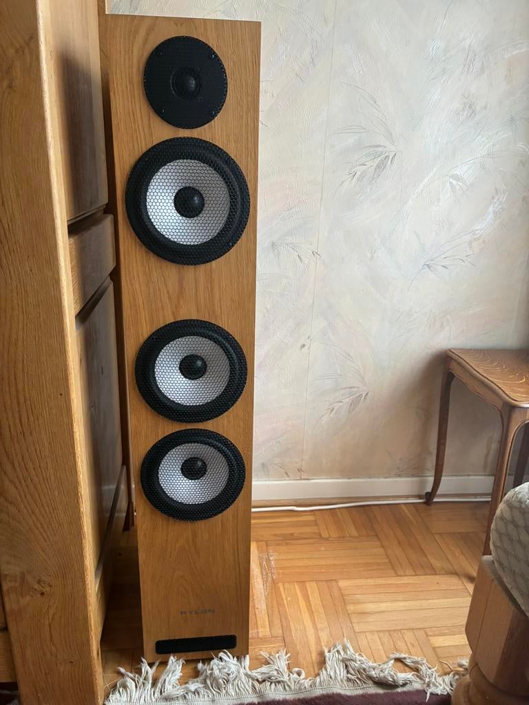 Enceintes Pylon Ruby 30, TV, Hi-fi & Vidéo, Tuners, Comme neuf, Enlèvement