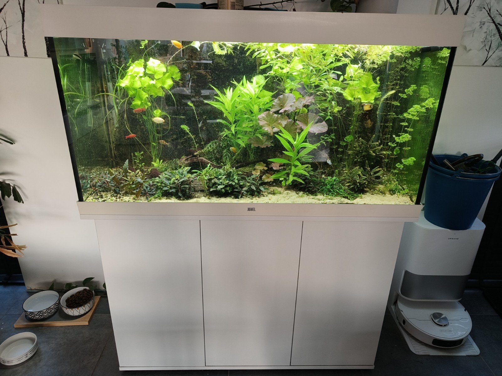 Aquarium, Ophalen