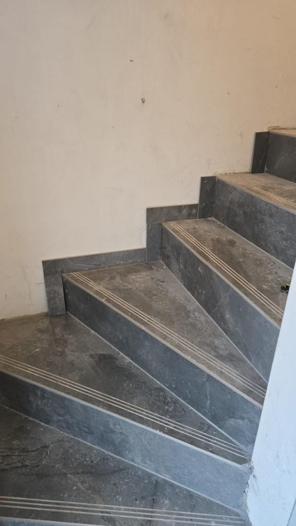 Carreleur chapiste professionnel, Enlèvement ou Envoi