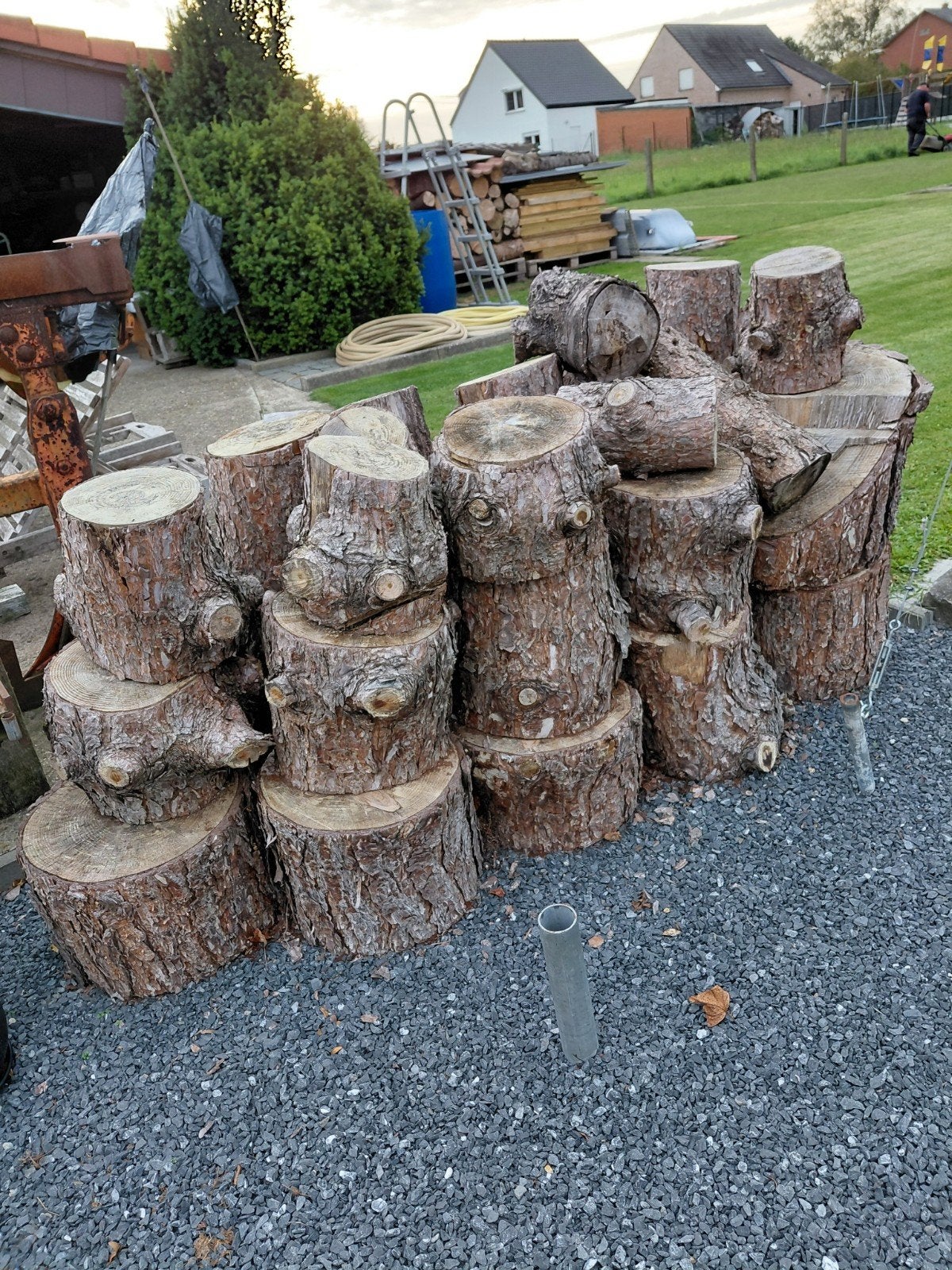 hout, Enlèvement