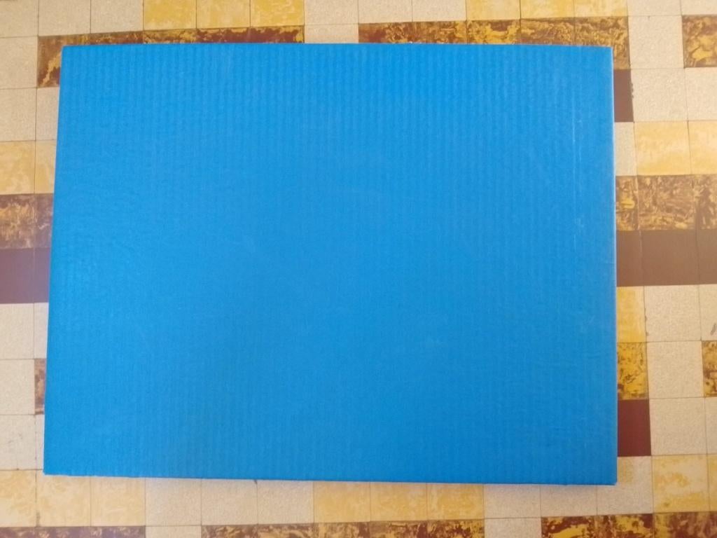 Tatami / judomat (pakket van 11 stuks), Enlèvement, Utilisé, Judo, Équipement d'arts martiaux