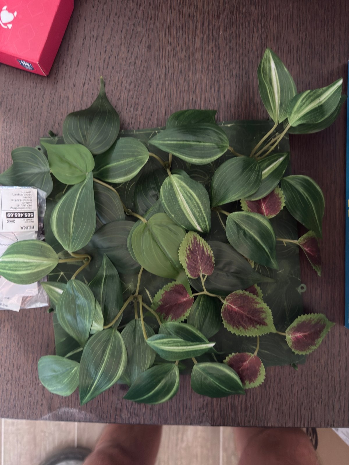 Plantes Ikea, Enlèvement