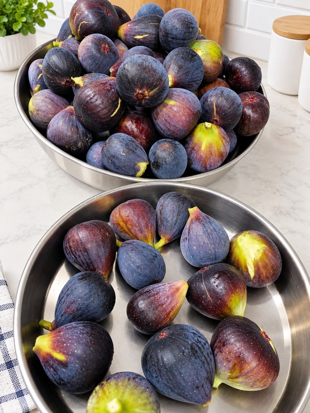Verse vijgen uit mijn eigen tuin, €0,70 per stuk., Tuin en Terras, Ophalen