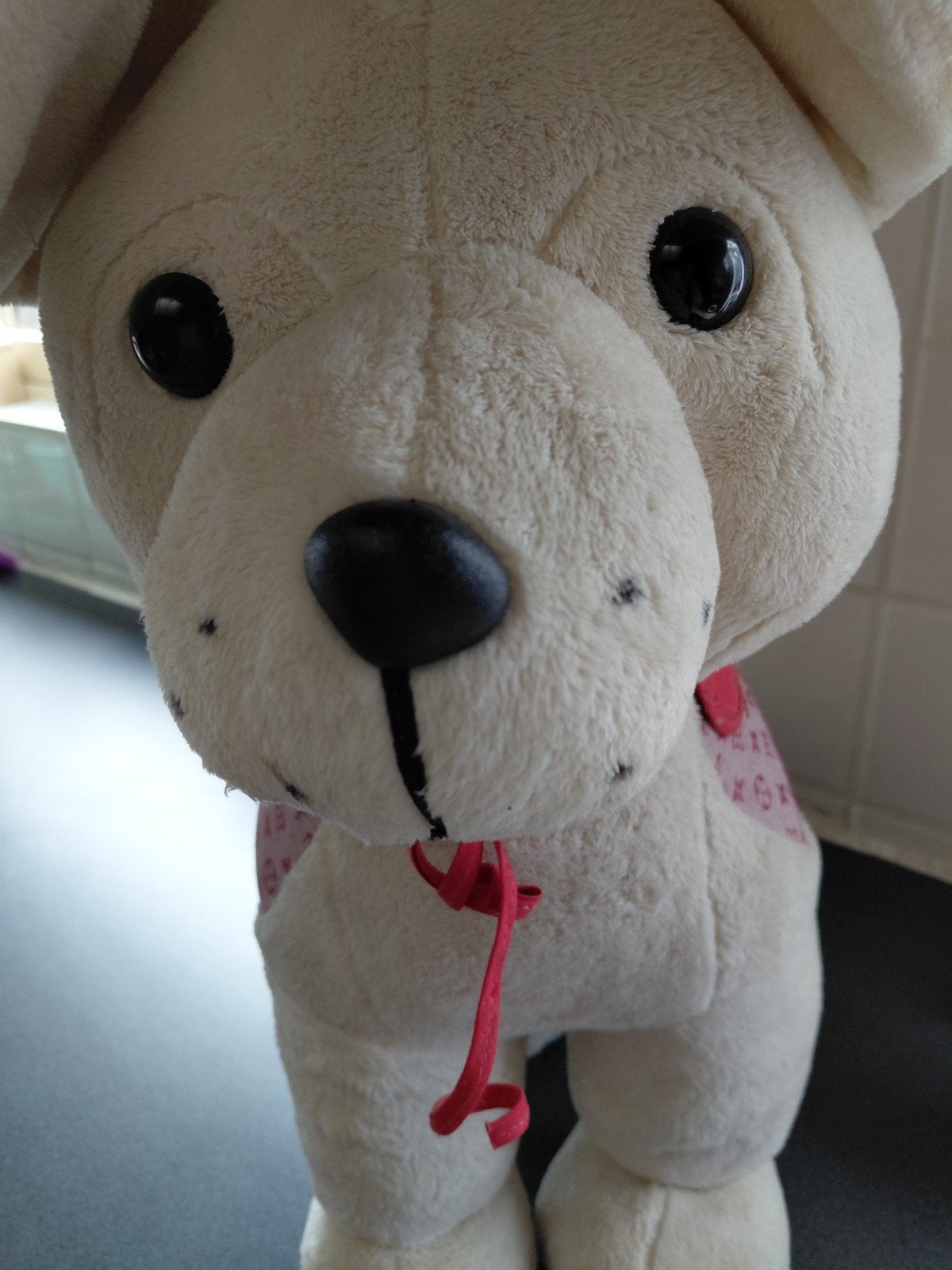GRATIS GROOT KNUFFELDIER, Ophalen