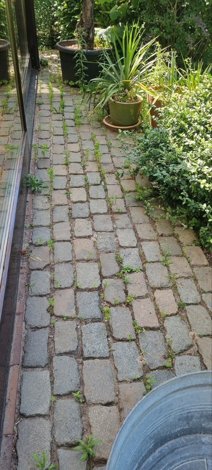 Sortez vous-même des pavés de 10 m², Enlèvement, Briques