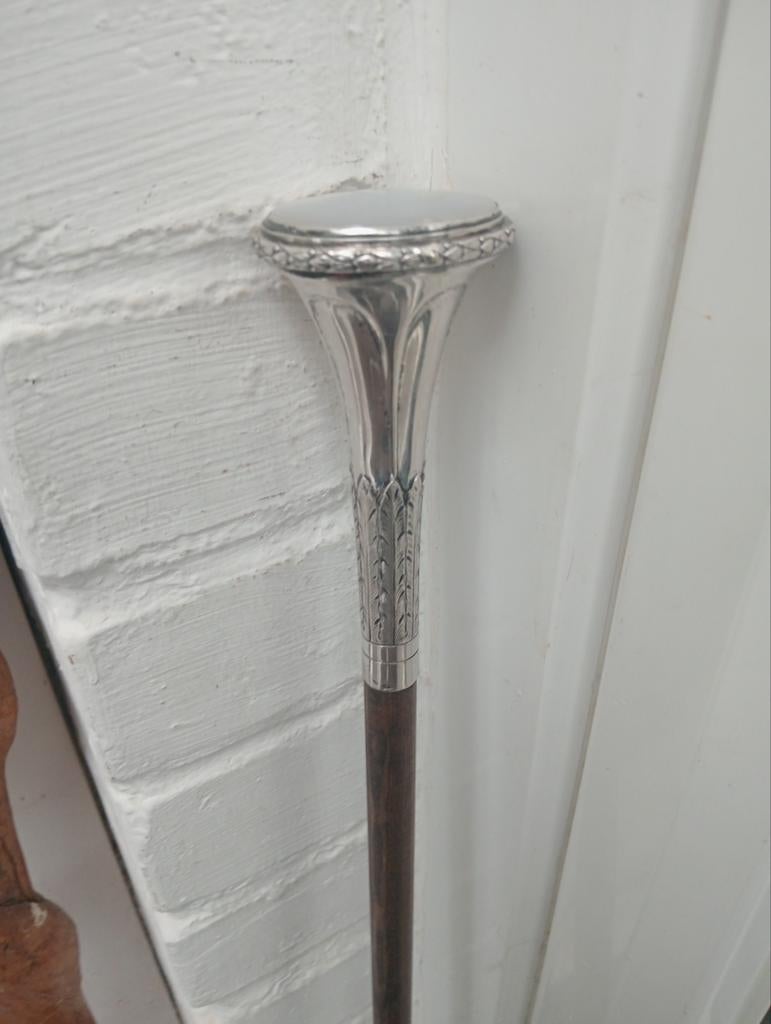 900 zilverkleurige wandelstok, Ophalen of Verzenden