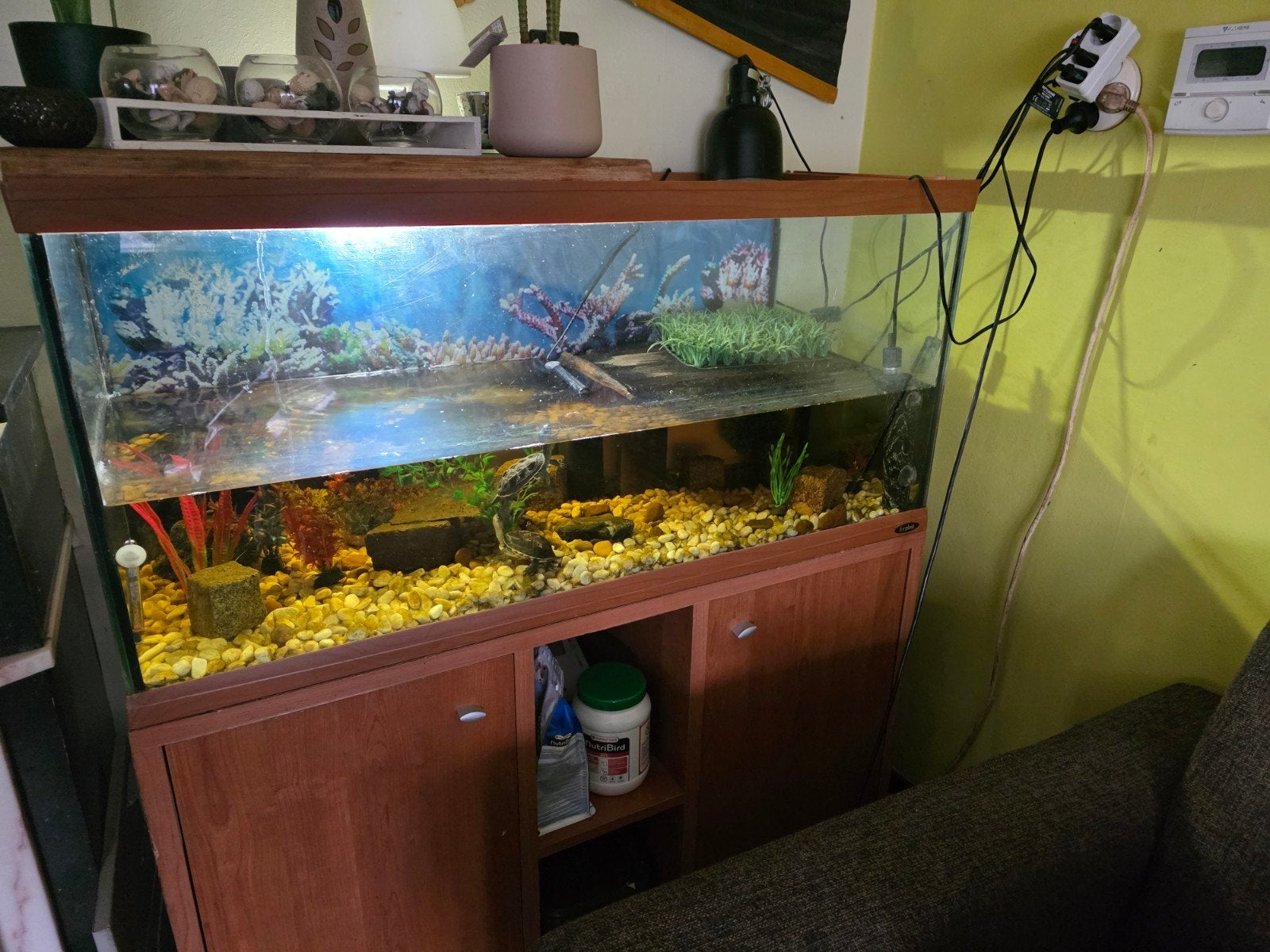 aquarium, Ophalen, Gebruikt, Leeg aquarium
