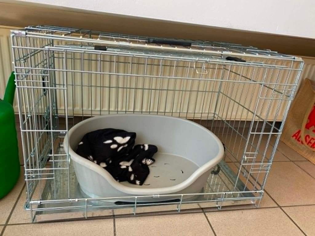 Bench Kowloon medium voor hond, Dieren en Toebehoren, Ophalen, Zo goed als nieuw