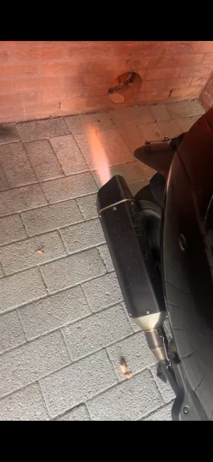 bullet racinf uitlaat, Enlèvement, Comme neuf