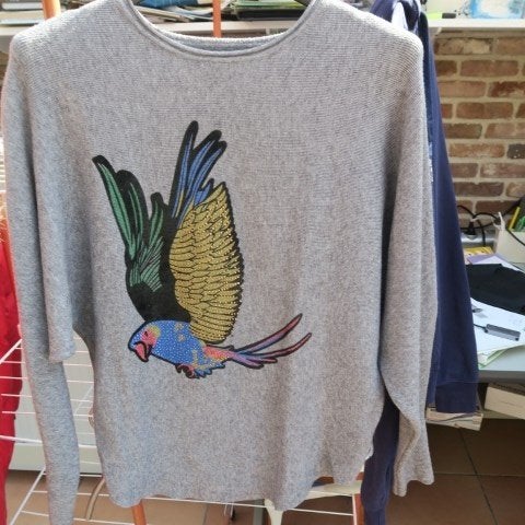 Pulleke nieuw grijs vogel studs NVF Paris mt 38-40, Kleding | Dames, Maat 38/40 (M), NVF Paris, Nieuw, Ophalen of Verzenden