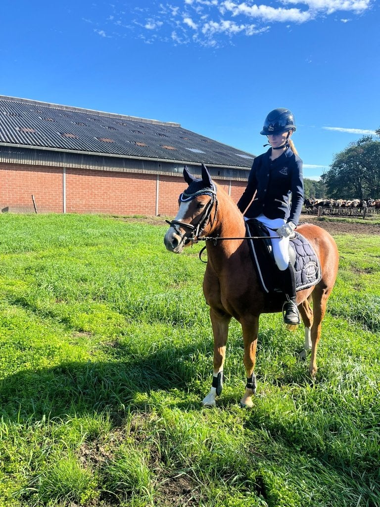 C-Pony, 135 cm, merrie, Dieren en Toebehoren, Pony's, Merrie, Met stamboom, B, Springpony