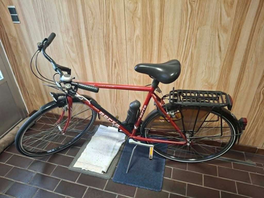 herenfietsen, Enlèvement, Vitesses
