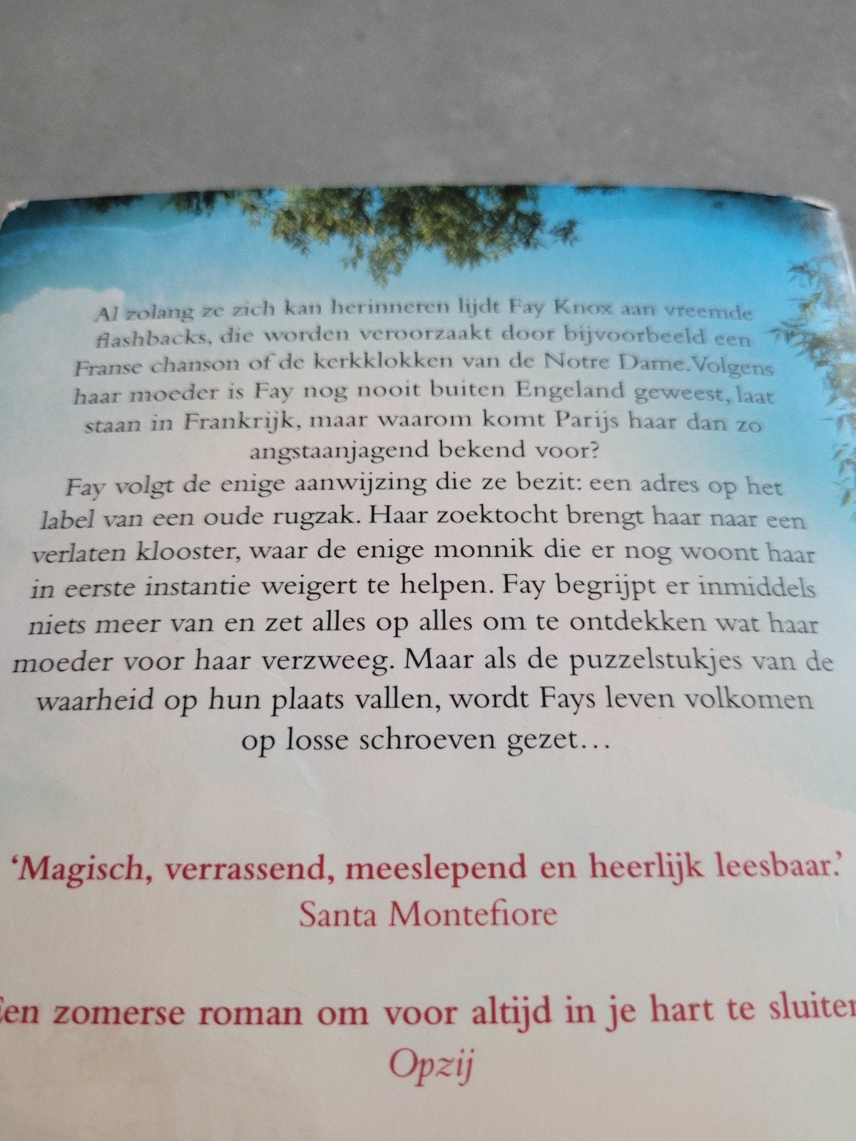 RACHEL HORE een week in Parijs, Boeken, Ophalen
