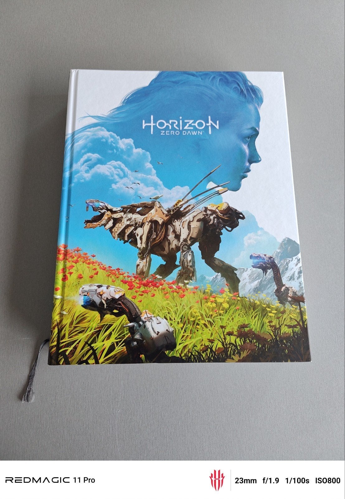 guide Horizon Zero Dawn, Enlèvement ou Envoi
