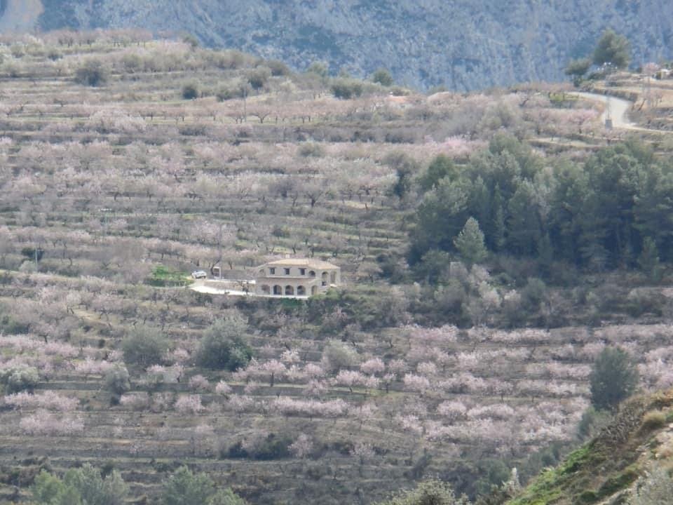 Finca en pierre dans les montagnes au-dessus d'Altea, Immo, Maison d'habitation, Campagne, Tarbena, 3 pièces
