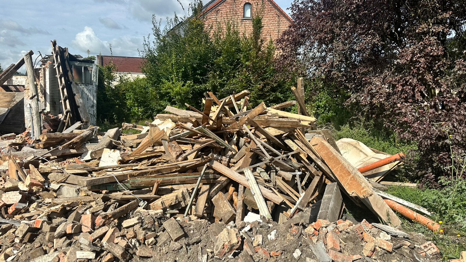 Gratis brandhout, 6 m³ of meer, Ophalen
