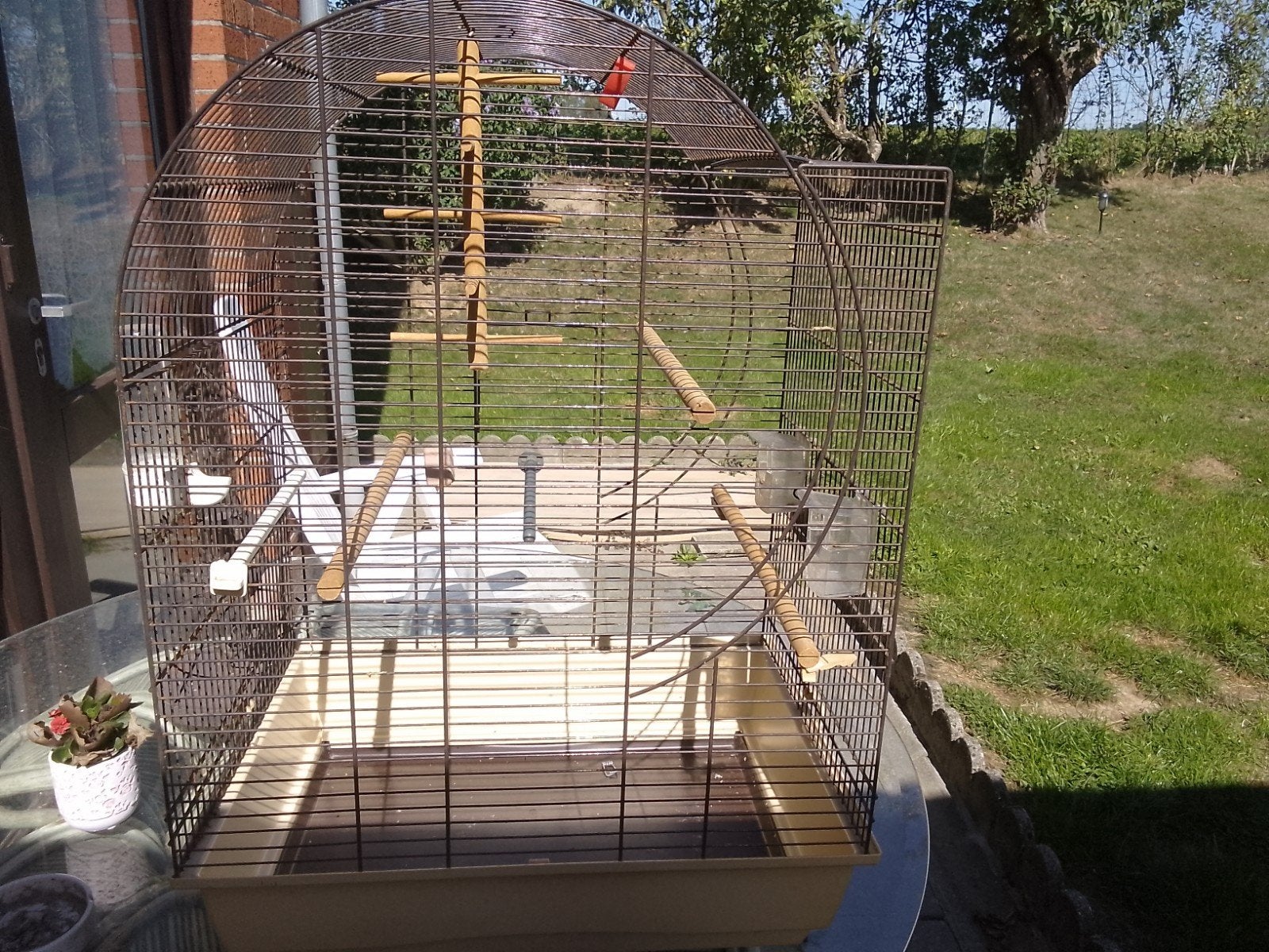 vend grande cage de canari ou perruche, Animaux & Accessoires, Oiseaux | Cages & Volières, Enlèvement ou Envoi, Utilisé, Cage à oiseaux