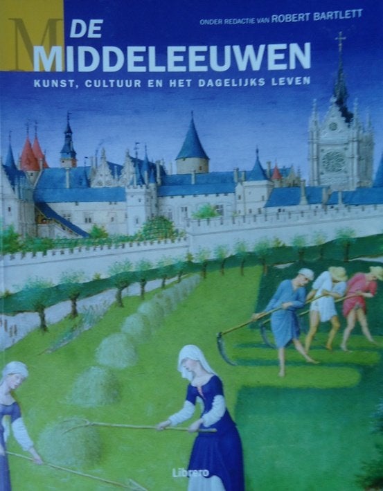 De middeleeuwen. Kunst, cultuur en het dagelijks leven, Boeken, Ophalen of Verzenden