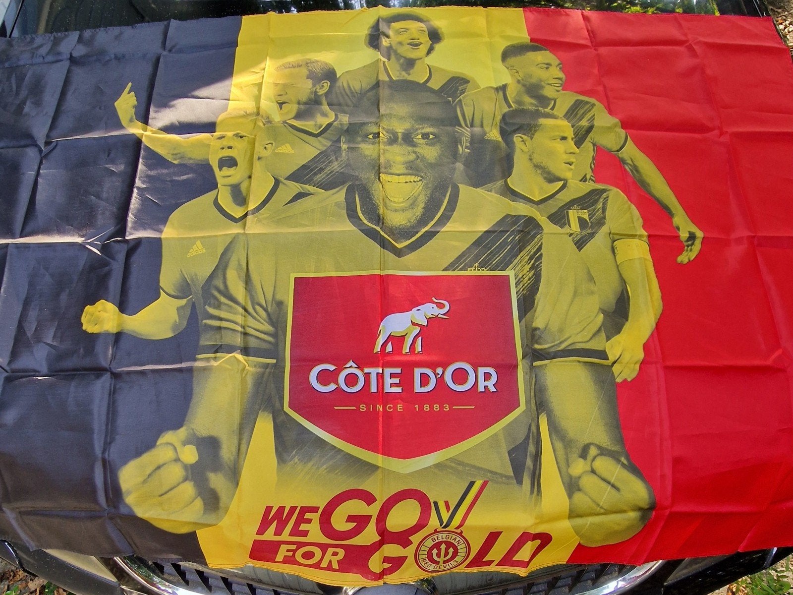 Belgische Côte d'Or vlag | EURO 2020/2021, Enlèvement