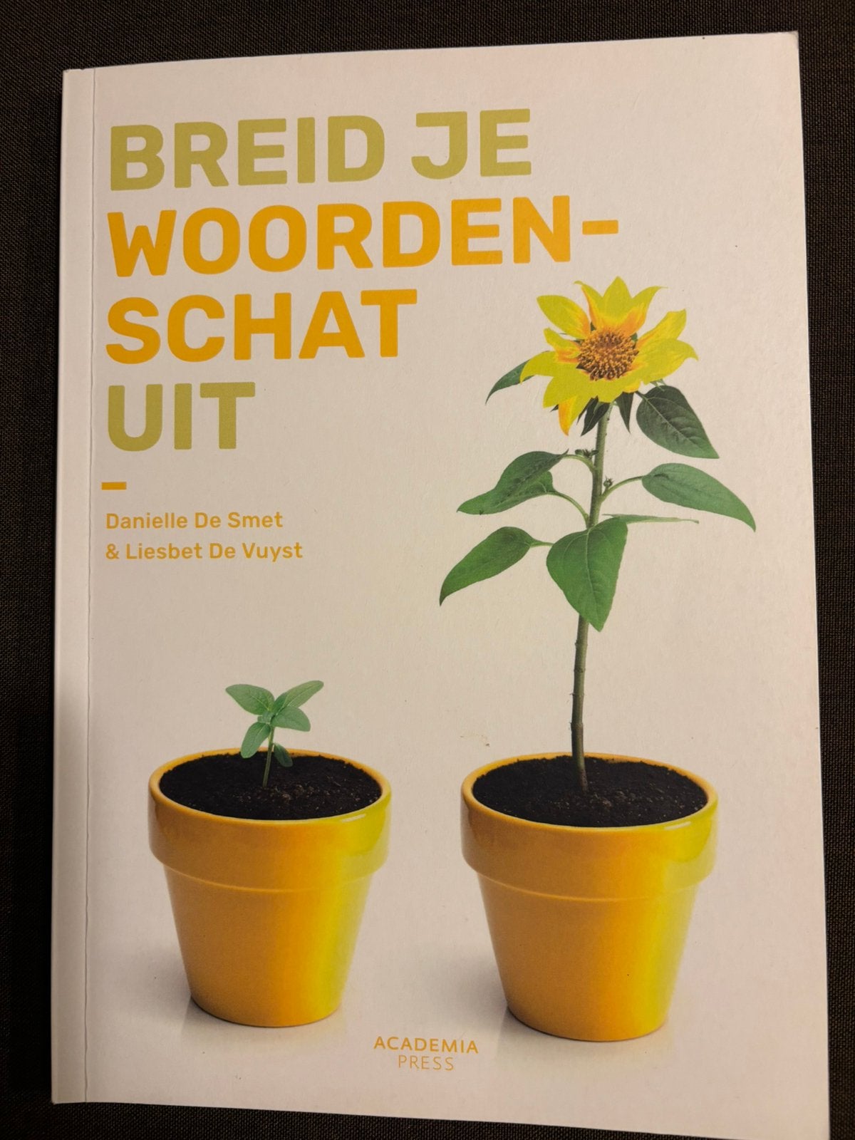 Breid je woordenschat uit - Liesbet De Vuyst, Liesbet De Vuyst; Danielle De Smet, Nederlands, Overige niveaus, Ophalen