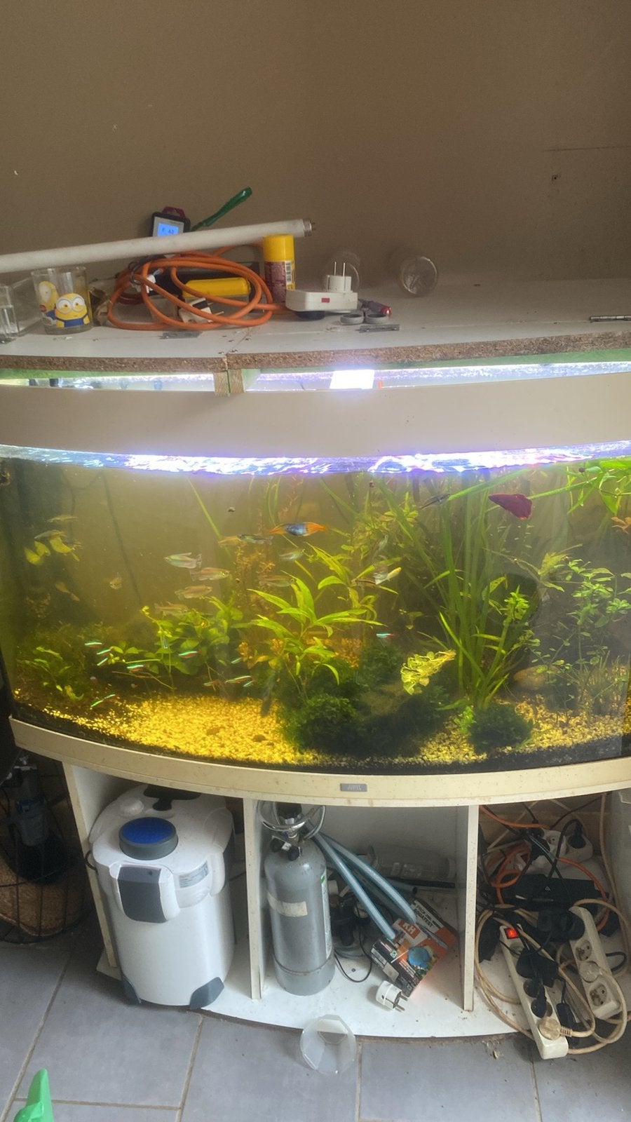 Aqaruim 1m20, Pompe, Enlèvement, Utilisé, Autres types