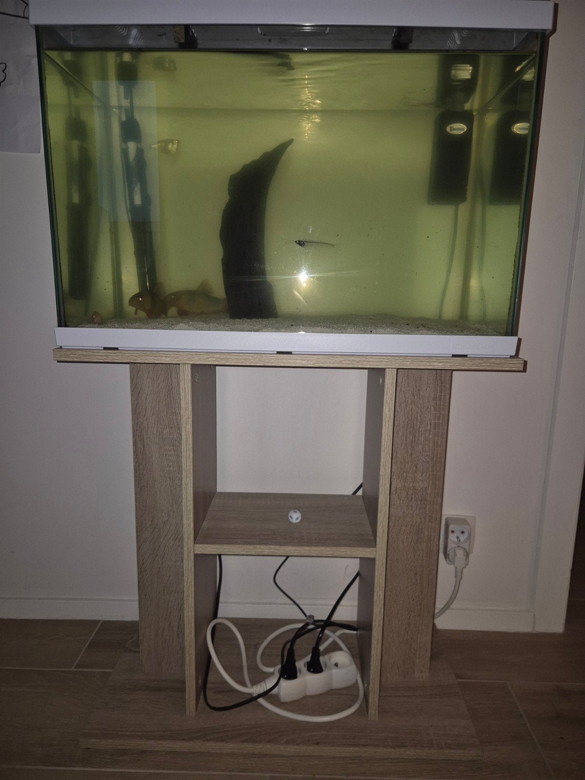 Aquarium superfisch 60x40x30 + meuble + 4 congénères, Animaux & Accessoires, Poissons | Aquariums & Accessoires, Enlèvement