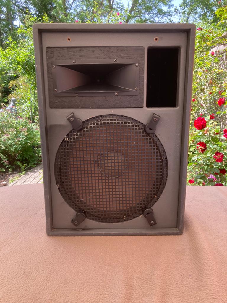 monitor 2 w  opgevuld met 15" en tweeter van dynacord E152, Musique & Instruments, Amplis | Clavier, Moniteur & Sono, Utilisé