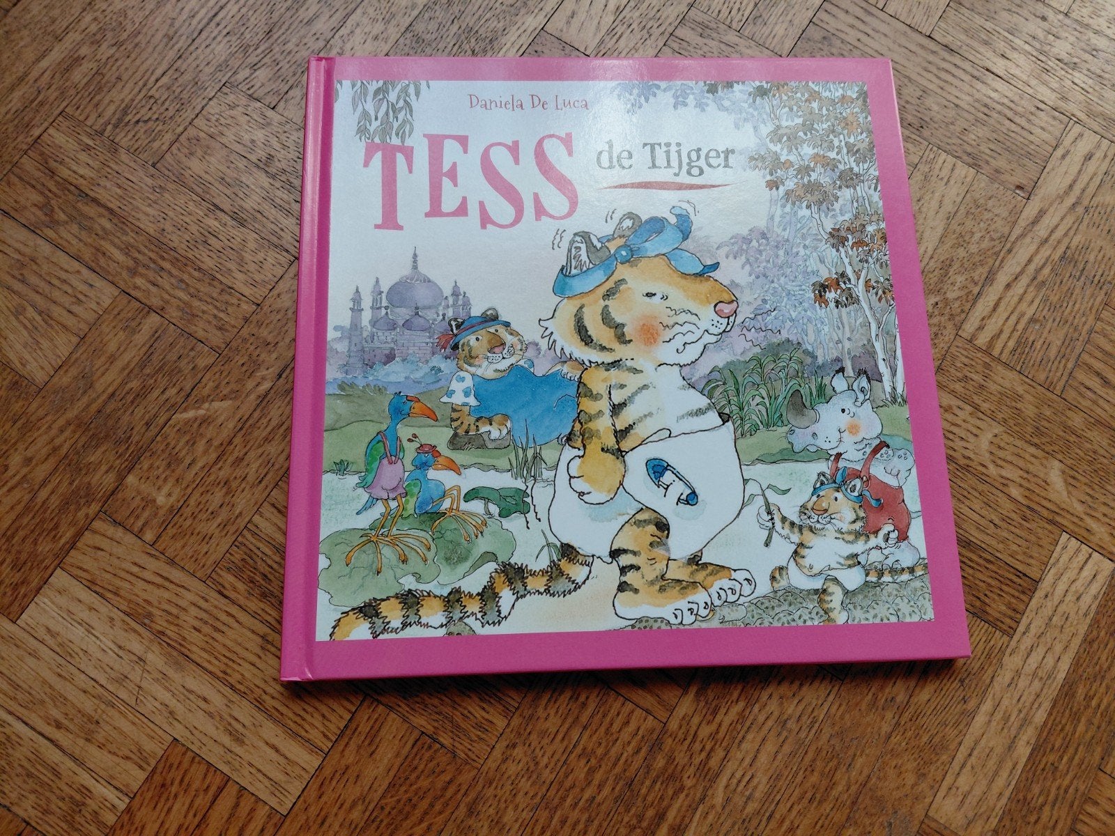 Daniela De Luca: Tess de tijger, Ophalen of Verzenden, Gelezen
